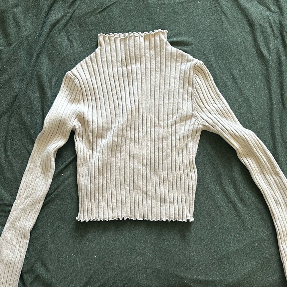 Princess Polly tan turtleneck cropped top.